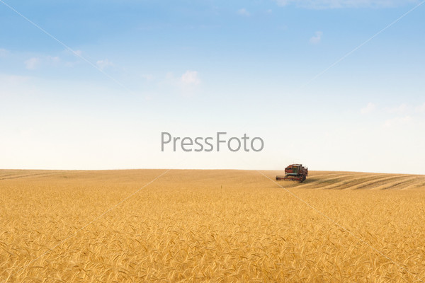 grain harvester combine in field