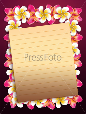 Plumeria, frangipani flowers frame with yellow sheet of paper background.