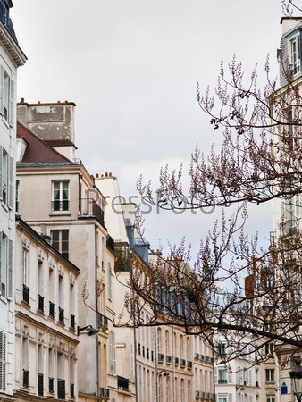 Paris buildings in overcast spring day, stock photo