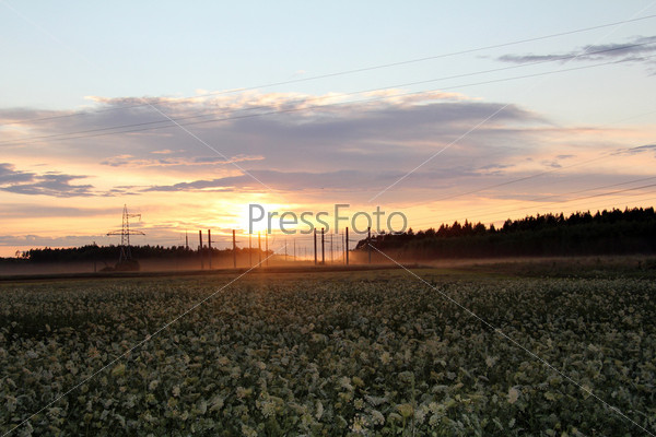 the sun sets behind the power line rustic lighting field/electric sunset