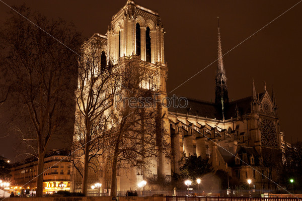 Cathedral Notre Dame de Paris at night