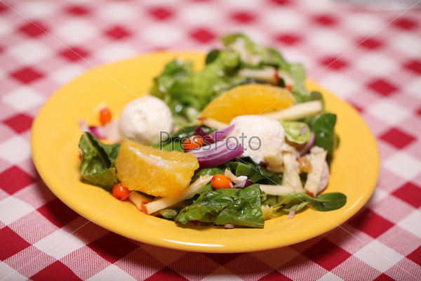 Fresh tasty salad in a plate on a tablecloth