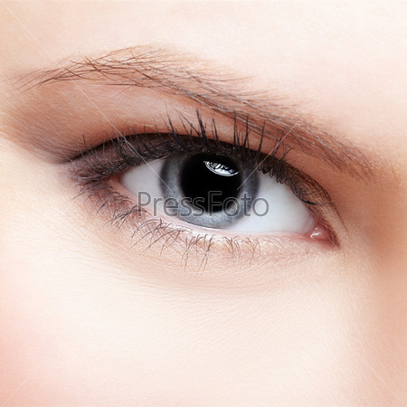 close up portrait of beautiful young woman eye zone make up