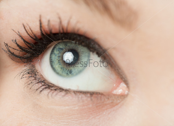 Woman eye close up with reflection, stock photo
