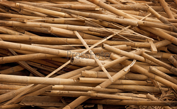 Debris - bamboo sticks in heap