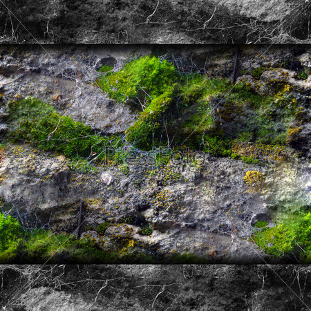 texture walls mold moss and cobwebs background your message wallpaper