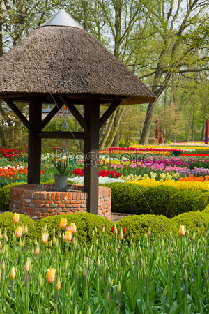 well  in spring  garden Keukenhof, Holland