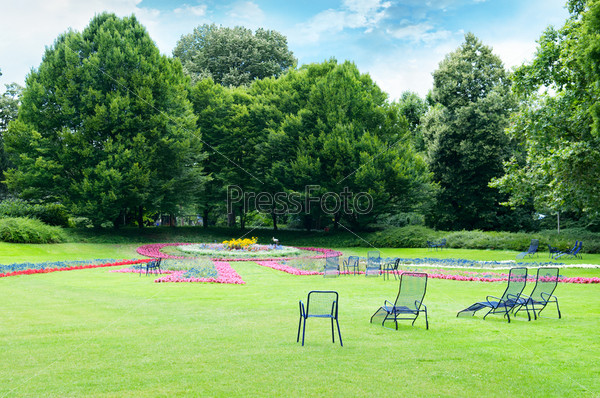 Lounge chairs in the summer park