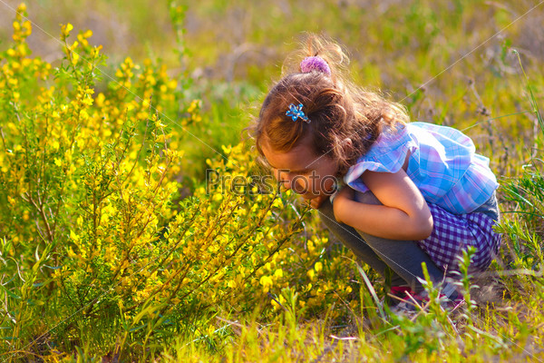 little baby girl studying touching look yellow flower(Chamaecytisu s ruthenicus) green field grass in spring on sunny day