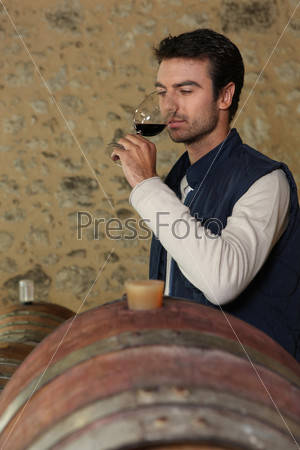 Wine tasting in the cellar man
