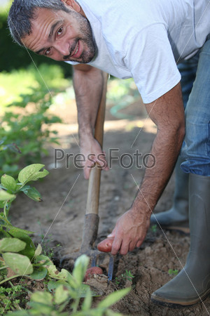 Man digging a vegetable patch