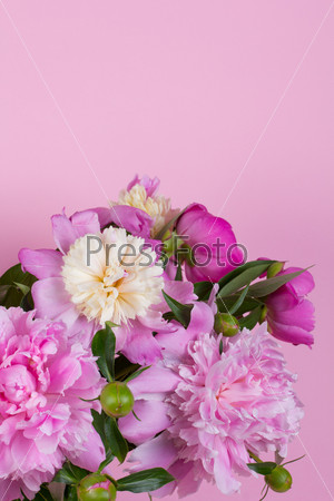 bouquet of peonies on a pink background
