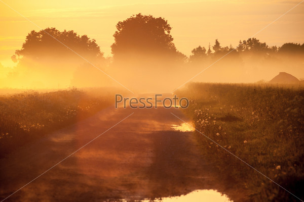 Magic fog over rural farm village road with mud and puddles