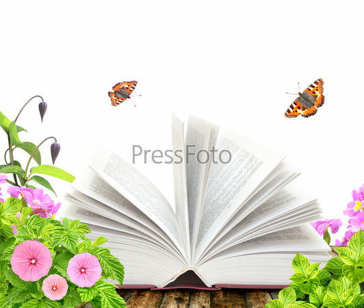 Book, flower and butterfly. Isolated over white