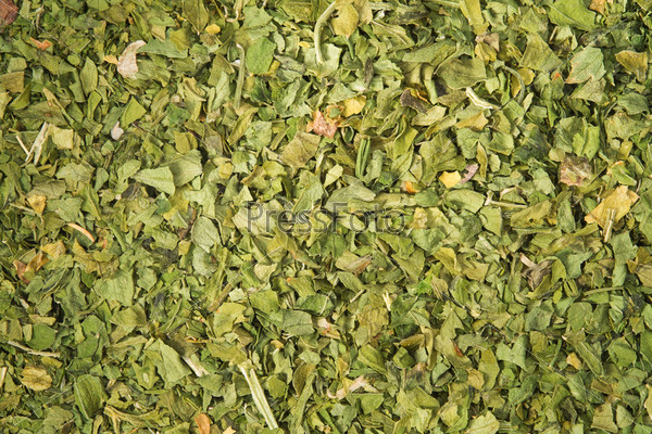 Background of dried parsley leaves