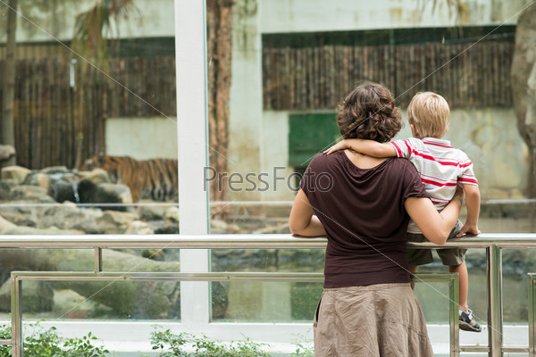 Back view of a mom and a son in the zoo