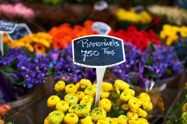 Амстердамский цветочный рынок