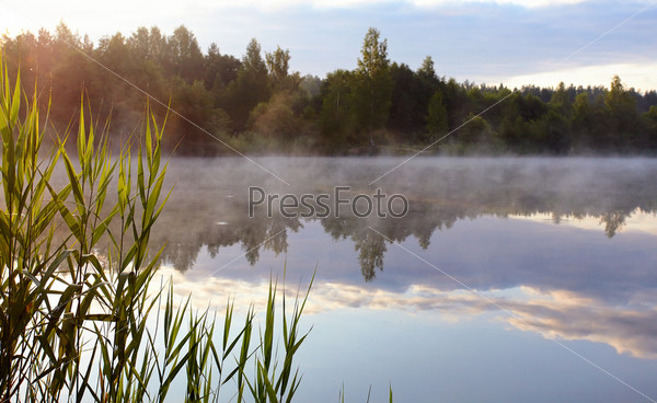 Fog on the lake. Dawn on the lake. Landscape with the lake. Sunny day on the lake. Beautiful landscape. Water smooth surface of the lake.