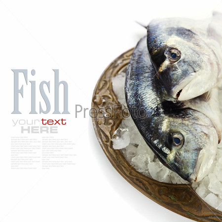 fresh dorada fish on ice - food and drink (with easy removable sample text)