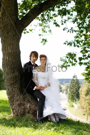 the newly married couple sitting on the tree