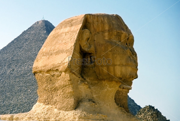 The head of the Sphinx in the background of the Cheops pyramid