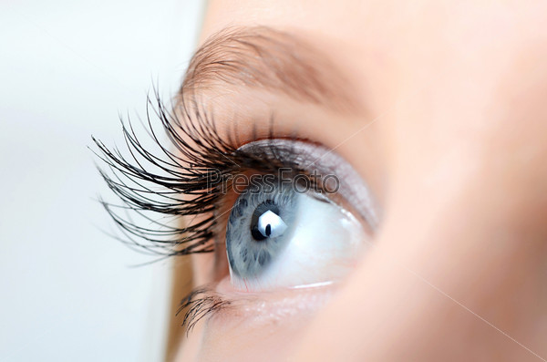 Female eye with long eyelashes close up