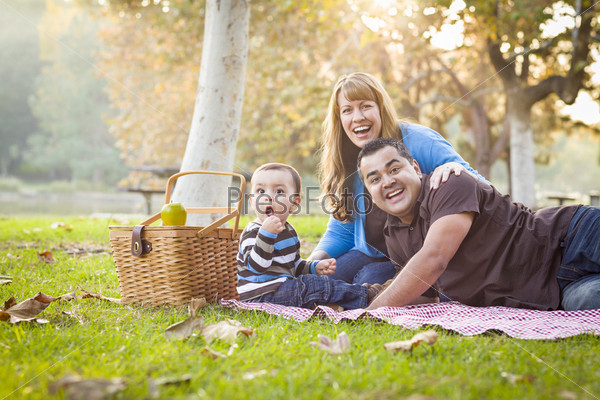 Happy Young Mixed Race Ethnic Family Having a Picnic and Playing In The Park.