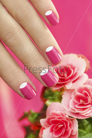 Beautiful Manicures On Short Nails Woman With A Flower On A Pink Background.
