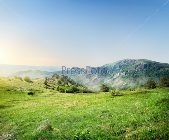 Green meadow on the background of the Crimean mountains