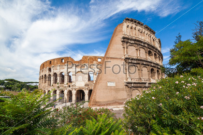 The Colosseum (Roman Coliseum architecture landmark). Rome , Italy