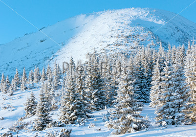 Sunrise and winter mountain landscape with snow covered trees on slope