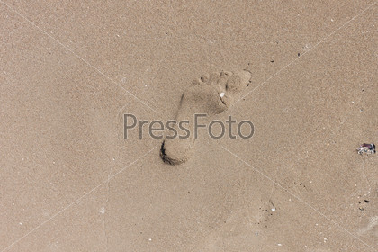 Human footprint on the sandy beach