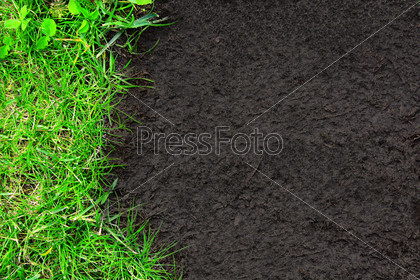 Summer background with green grass and soil