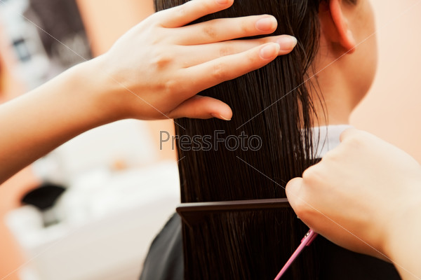 creating hairstyles hairdresser at salon. indoor shot