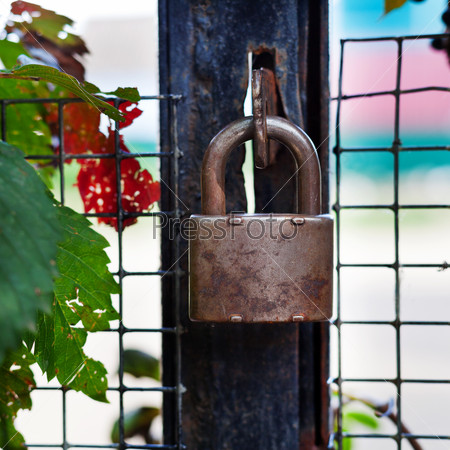 locked padlock on gate close up outdoors