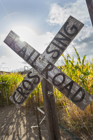 Antique Country Rail Road Crossing Sign Near a Corn Field in a Rustic Outdoor Setting.
