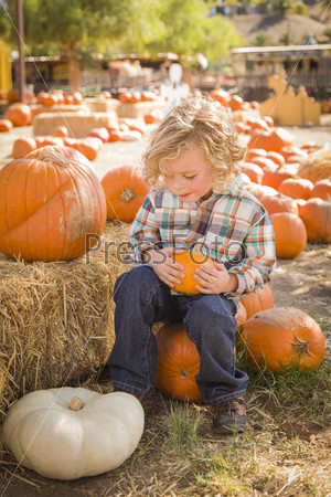 Cute Boy Sitting and Holding His Pumpkin at Pumpkin Patch
