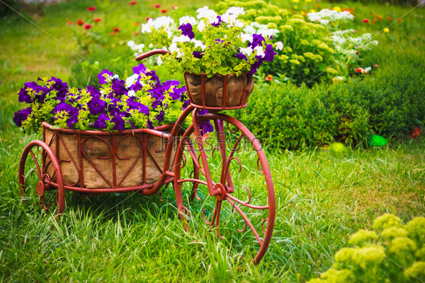 Model of an old bicycle equipped with basket of flowers / Bicycle in a garden
