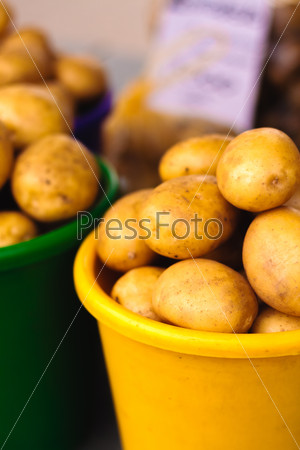 Potatoes at local market