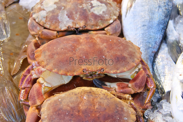 Sales of fresh crabs on the market