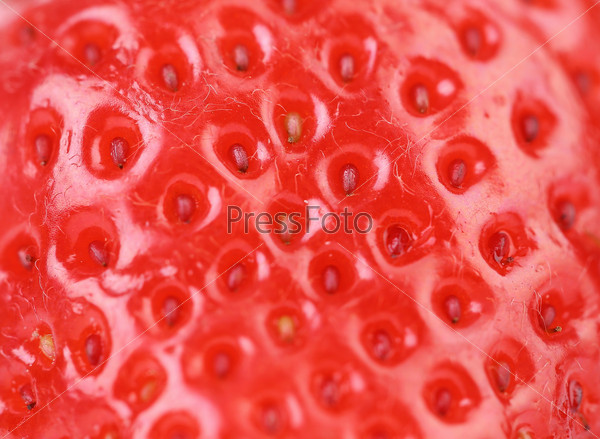 Extreme macro of strawberry texture -background