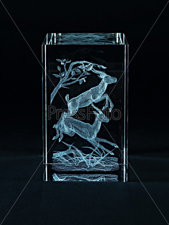 Laser engraving deer inside the glass on a black background.