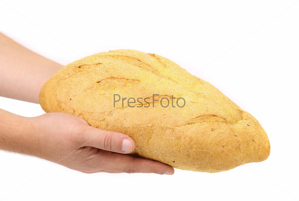 Hand holds bread of corn meal. White background.
