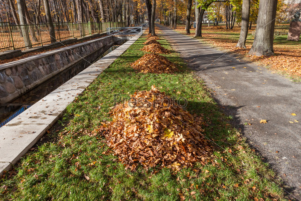 autumn park alley with yellow leaf pile