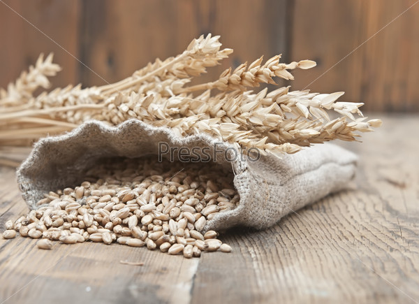 The scattered bag with wheat of a grain on old wooden table