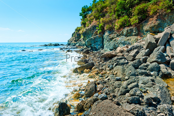 sea wave rolls on a rocky shore