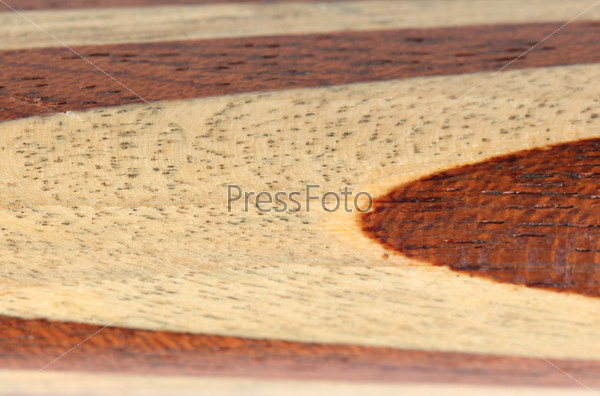 Close up of wood circles. Whole background.