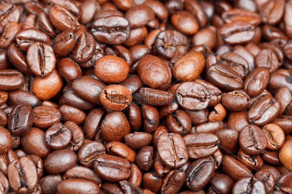 Жареный кофе в зернах