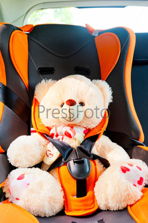 bear strapped in a child seat in the car