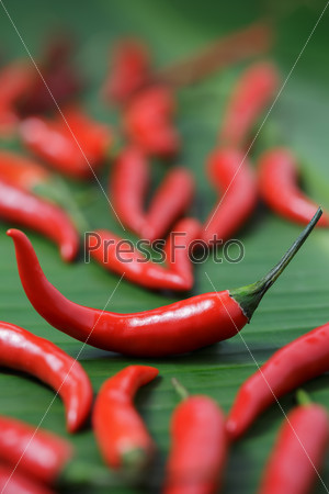 Chili pepper on banana leaf, selective focus